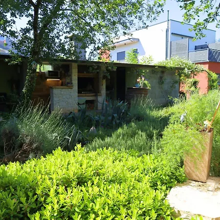 Bijou, Nature & Luxury In A Oasis Near Guest house