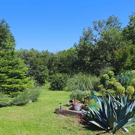 Bijou, Nature & Luxury In A Oasis Near 4*